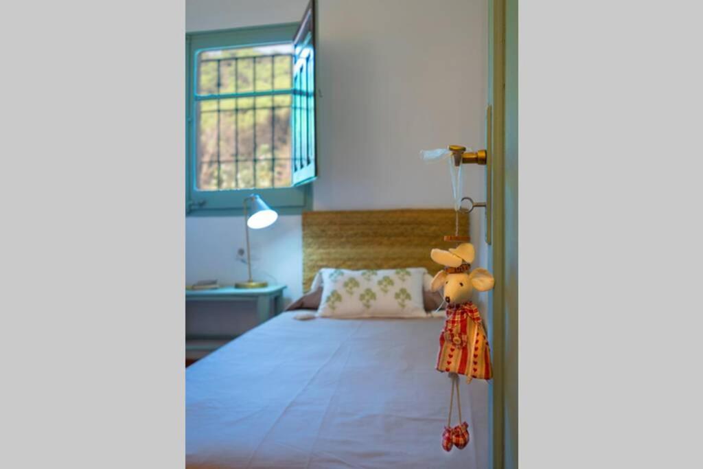 Willa Casa Rural Mas Del Gall - Casa Nova, Barcelona Tordera Zewnętrze zdjęcie